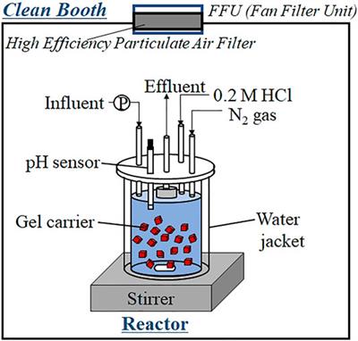 Long-Term Limitation Effects of Se(VI), Zn(II), and Ni(II) on Start-Up of the Anammox Process Using Gel Carrier